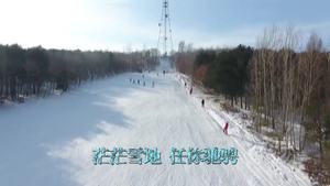 赏冰乐雪｜萝北凤凰山滑雪场