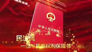 民法典宣传月《美好生活 民法典相伴》