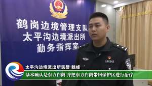 东方白鹳“回家”记